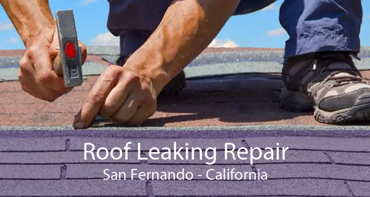 Roof Leaking Repair San Fernando - California