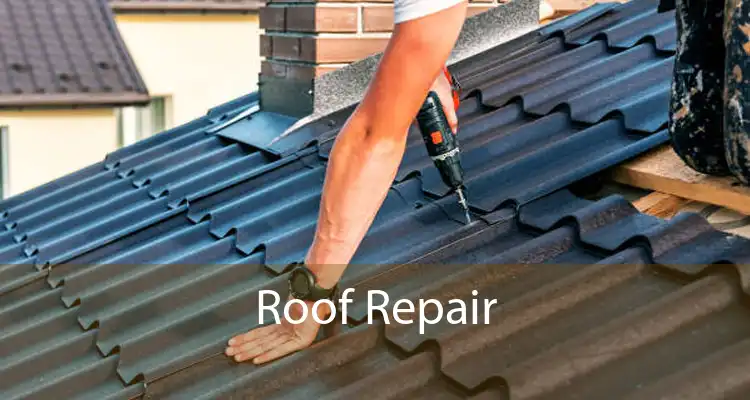 Roof Repair 