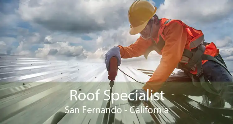 Roof Specialist San Fernando - California