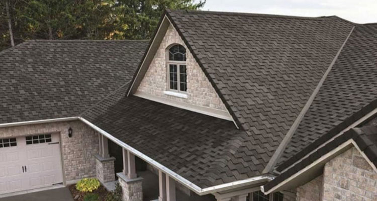 Residential Shingle Roofing-San Fernando 